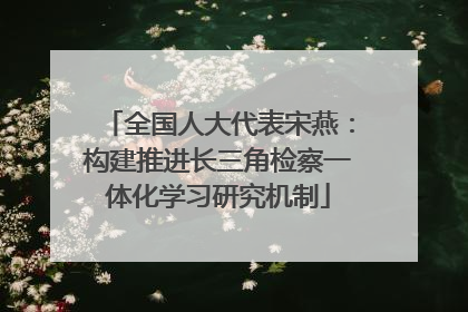 全国人大代表宋燕：构建推进长三角检察一体化学习研究机制