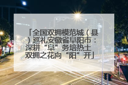 全国双拥模范城（县）巡礼安徽省阜阳市：深耕“阜”务培热土 双拥之花向“阳”开