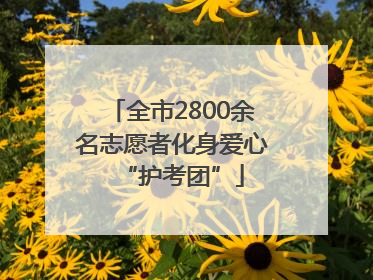 全市2800余名志愿者化身爱心“护考团”