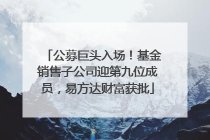 公募巨头入场！基金销售子公司迎第九位成员，易方达财富获批