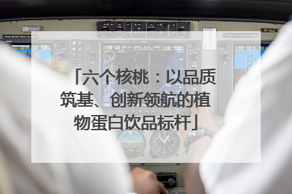 六个核桃：以品质筑基、创新领航的植物蛋白饮品标杆