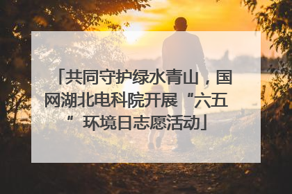 共同守护绿水青山，国网湖北电科院开展“六五”环境日志愿活动