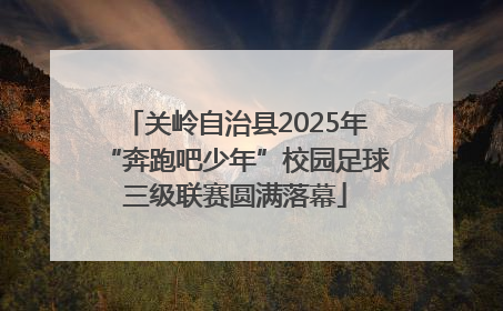 关岭自治县2025年“奔跑吧少年”校园足球三级联赛圆满落幕