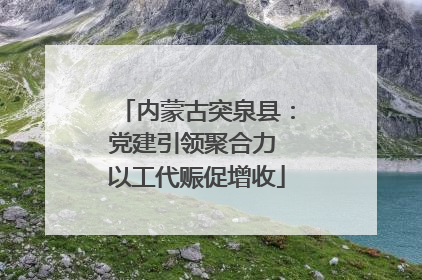 内蒙古突泉县：党建引领聚合力 以工代赈促增收