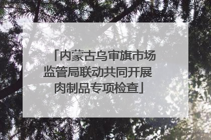 内蒙古乌审旗市场监管局联动共同开展肉制品专项检查