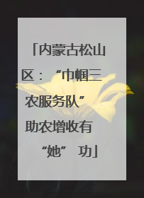 内蒙古松山区：“巾帼三农服务队” 助农增收有 “她” 功