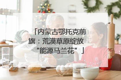 内蒙古鄂托克前旗：荒漠草原绽放“能源马兰花”