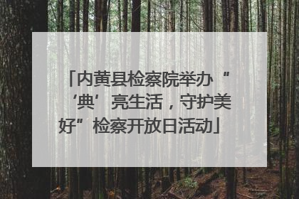 内黄县检察院举办“‘典’亮生活，守护美好”检察开放日活动