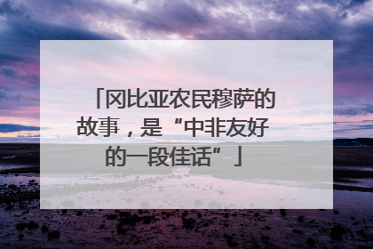 冈比亚农民穆萨的故事，是“中非友好的一段佳话”