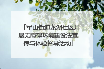 军山街道龙湖社区开展无障碍环境建设法宣传与体验督导活动