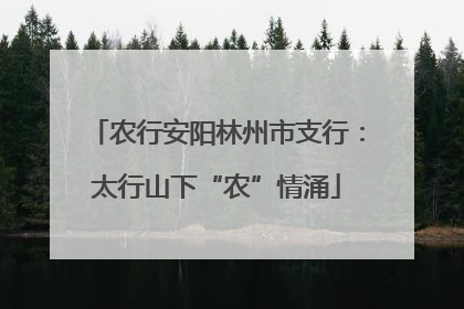 农行安阳林州市支行：太行山下“农”情涌
