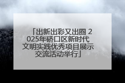 出新出彩又出圈 2025年硚口区新时代文明实践优秀项目展示交流活动举行