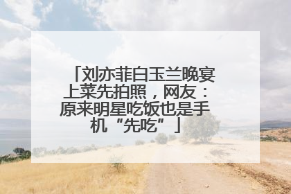 刘亦菲白玉兰晚宴上菜先拍照，网友：原来明星吃饭也是手机“先吃”