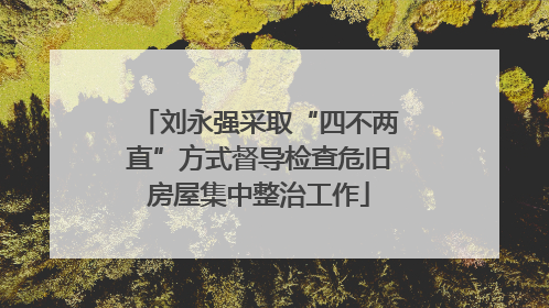 刘永强采取“四不两直”方式督导检查危旧房屋集中整治工作