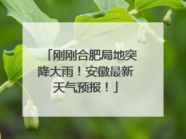 刚刚合肥局地突降大雨！安徽最新天气预报！