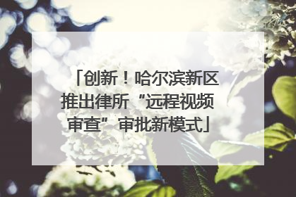 创新！哈尔滨新区推出律所“远程视频审查”审批新模式
