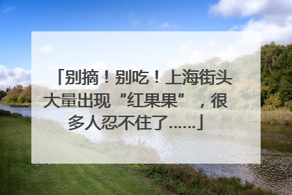 别摘！别吃！上海街头大量出现“红果果”，很多人忍不住了……