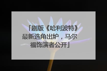 剧版《哈利波特》最新选角出炉，马尔福饰演者公开