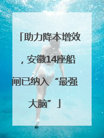 助力降本增效，安徽14座船闸已纳入“最强大脑”