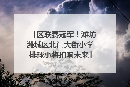 区联赛冠军！潍坊潍城区北门大街小学排球小将扣响未来