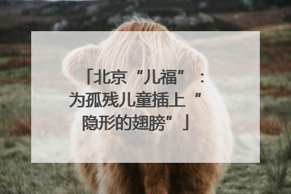 北京“儿福”：为孤残儿童插上“隐形的翅膀”