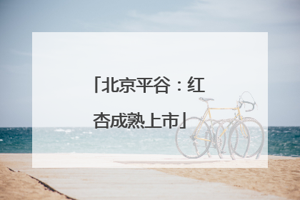 北京平谷：红杏成熟上市