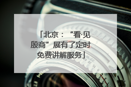 北京：“看·见殷商”展有了定时免费讲解服务