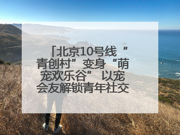 北京10号线“青创村”变身“萌宠欢乐谷” 以宠会友解锁青年社交新范式