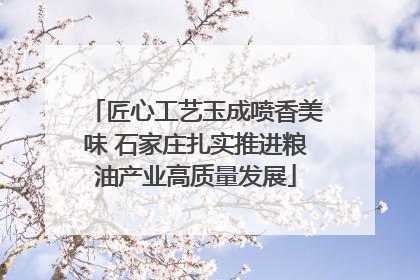 匠心工艺玉成喷香美味 石家庄扎实推进粮油产业高质量发展