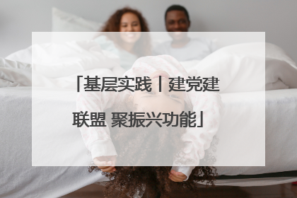 基层实践丨建党建联盟 聚振兴功能