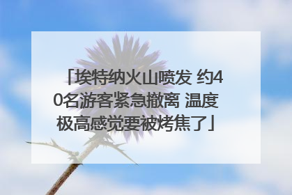 埃特纳火山喷发 约40名游客紧急撤离 温度极高感觉要被烤焦了