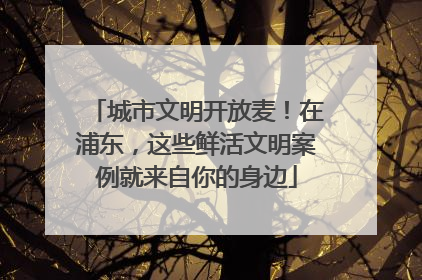 城市文明开放麦！在浦东，这些鲜活文明案例就来自你的身边