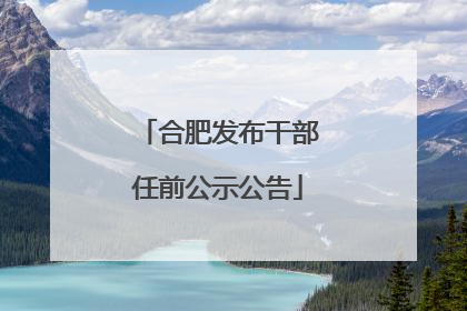 合肥发布干部任前公示公告