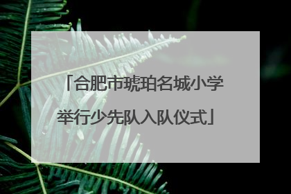 合肥市琥珀名城小学举行少先队入队仪式