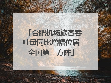 合肥机场旅客吞吐量同比增幅位居全国第一方阵