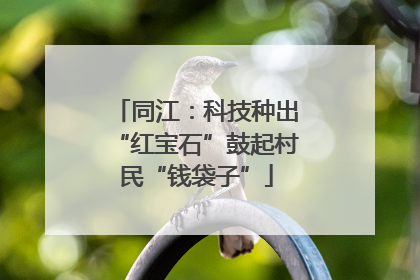 同江：科技种出“红宝石”鼓起村民“钱袋子”