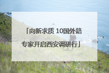 向新求质 10国外籍专家开启西安调研行