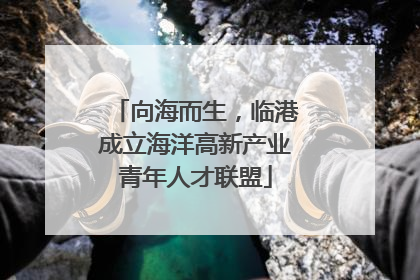 向海而生，临港成立海洋高新产业青年人才联盟