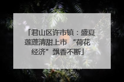 君山区许市镇：盛夏莲蓬清甜上市 “荷花经济”飘香不断