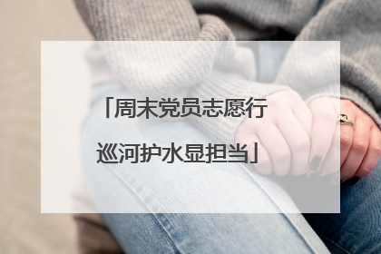 周末党员志愿行 巡河护水显担当