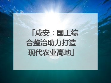 咸安：国土综合整治助力打造现代农业高地