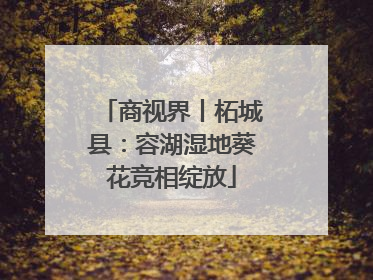 商视界丨柘城县：容湖湿地葵花竞相绽放