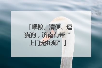 喂粮、清便、逗猫狗，济南有帮“上门宠托师”