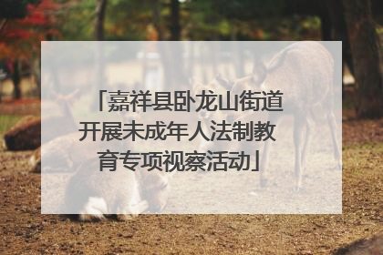 嘉祥县卧龙山街道开展未成年人法制教育专项视察活动