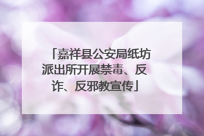 嘉祥县公安局纸坊派出所开展禁毒、反诈、反邪教宣传