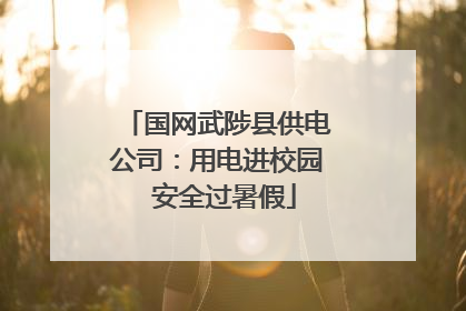 国网武陟县供电公司：用电进校园  安全过暑假