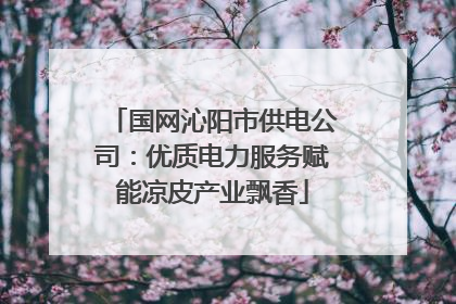 国网沁阳市供电公司：优质电力服务赋能凉皮产业飘香