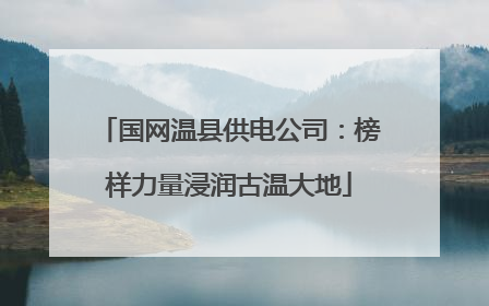 国网温县供电公司：榜样力量浸润古温大地