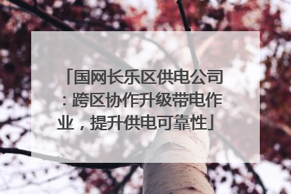 国网长乐区供电公司：跨区协作升级带电作业，提升供电可靠性