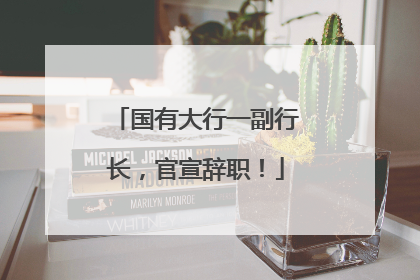 国有大行一副行长，官宣辞职！